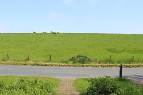 Apartment | View from property