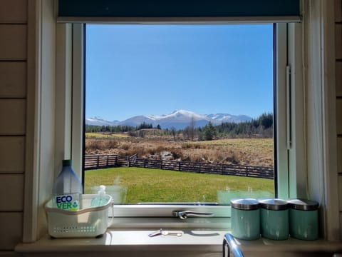 Cabin, 1 Bedroom | Private kitchen | Fridge, microwave, oven, electric kettle