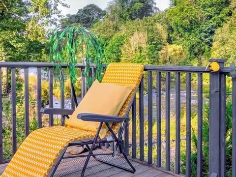 Outdoor | The Hive, Hawick