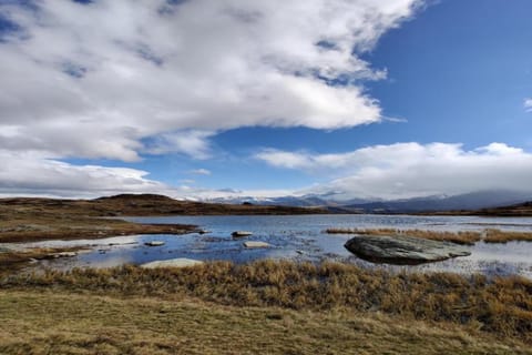 Region [summer] (&gt;5 km)