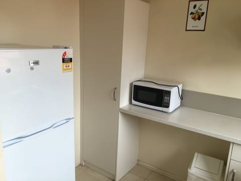 Full-size fridge, microwave