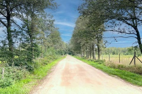 Region [summer] (&gt;5 km)