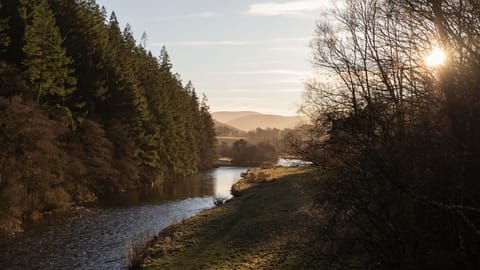Dalgety - a path leading along the River Tweed