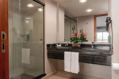 Suite | Bathroom | Shower, rainfall showerhead, free toiletries, hair dryer