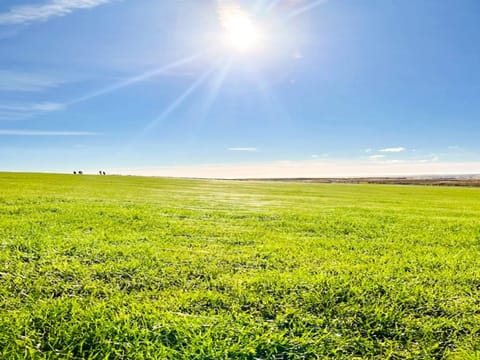 House | Miscellaneous