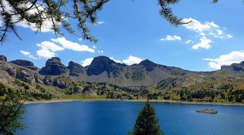 Region [summer] (&gt;5 km)