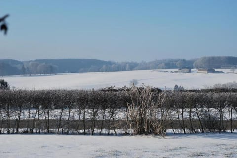 Region [winter] (>5 km)