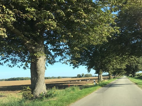 Surroundings [summer] (1-5 km)