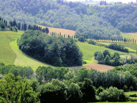 Surroundings [summer] (1-5 km)