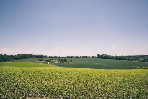 Region [summer] (&gt;5 km)