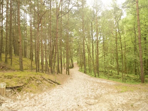 Immediate Surroundings [summer] (<1 km)