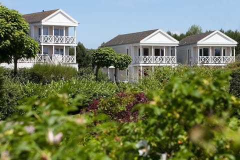 Immediate Surroundings [summer] (&lt;1 km)