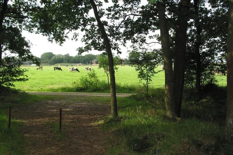 Immediate Surroundings [summer] (&lt;1 km)