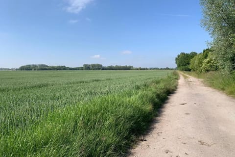 Region [summer] (&gt;5 km)