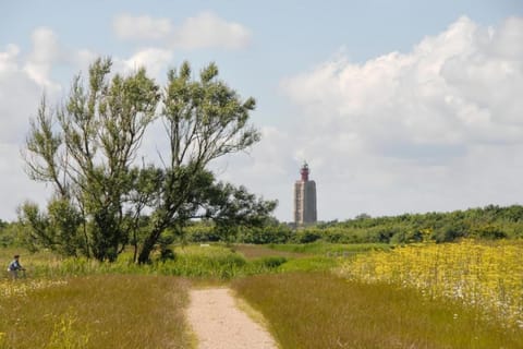 Surroundings [summer] (1-5 km)