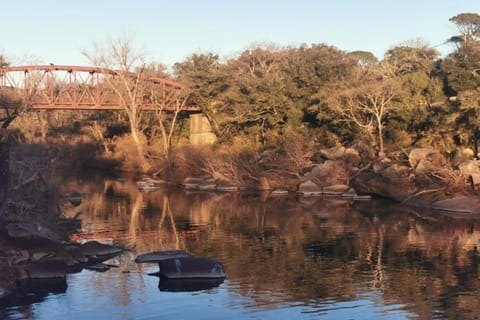 Region [summer] (&gt;5 km)