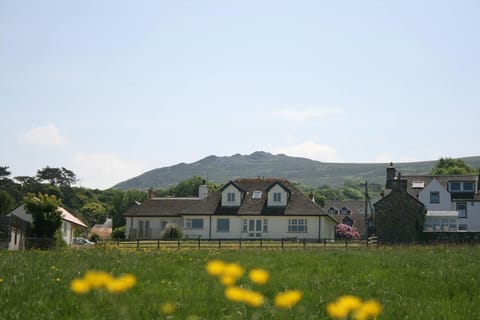 Talarwen from a distance with yellow flowers in the foreground