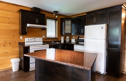 Deluxe Condo, 2 Bedrooms | Private kitchen | Fridge, microwave, stovetop, coffee/tea maker