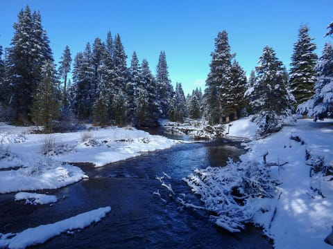 Truckee Winter Day