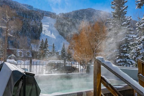 Common Hot Tubs Telluride Lodge - Telluride Lodge 337 - Vivid Va