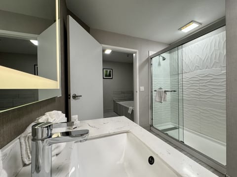 Deluxe Room, 1 King Bed, Non Smoking, Hot Tub | Bathroom shower