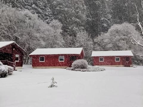 Setting | Grouse Lodge, Dunoon