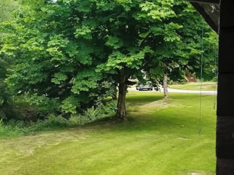 Surrounding area | Grouse Lodge, Dunoon