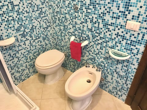 Shower, rainfall showerhead, hair dryer, bidet