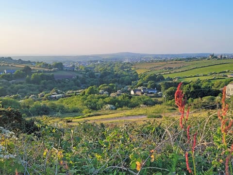 Surrounding area | Goonearl Cottage, Redruth