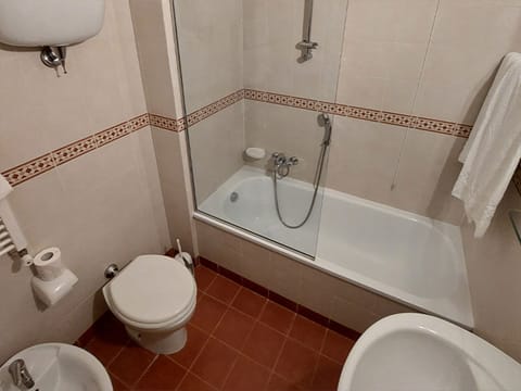 Shower, free toiletries, hair dryer, bidet