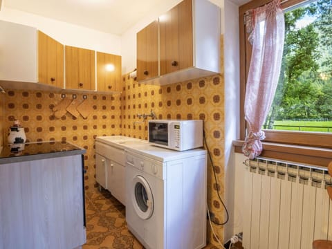 Wood, Major Appliance, Interior Design, Flooring, Floor, Room, Ceiling, Washing Machine, Kitchen Appliance, Apartment