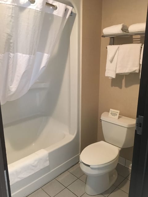 Combined shower/tub, free toiletries, hair dryer, towels