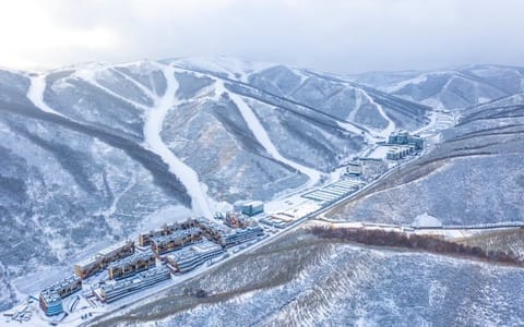 Skiing