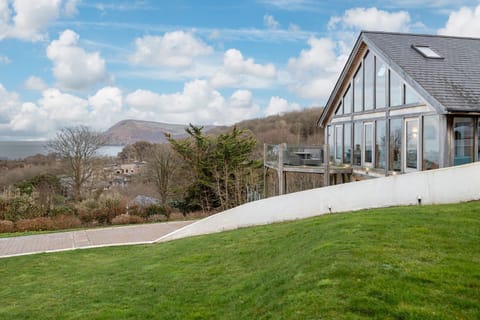 Whimbrels Views Of Exmoor