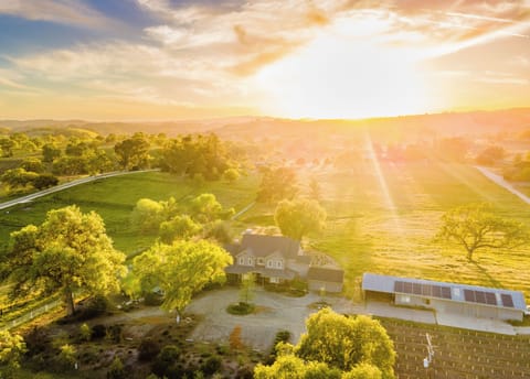 Drone shot of The Hive house and Castro Vineyards