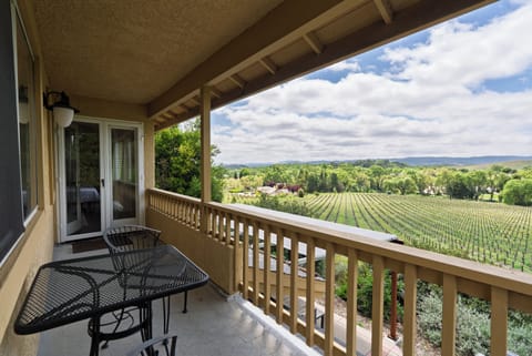 Castoro Cellars vineyard views from the upstairs deck