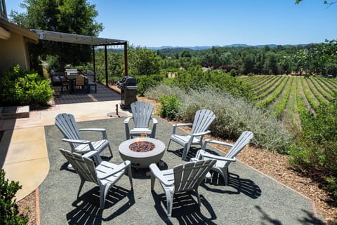 Firepit conversation with vineyard views