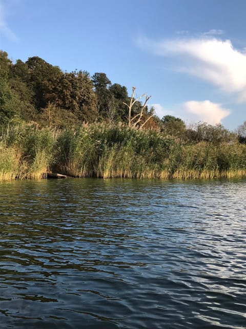 House | View from property