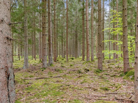 Place