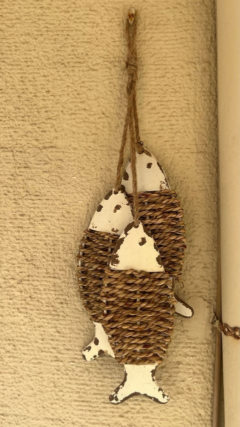 Alimos it rains fishes balcony