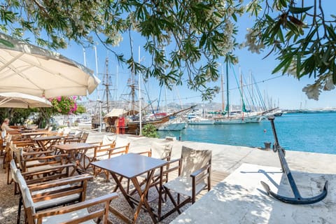 Alimos Authentic Harbour