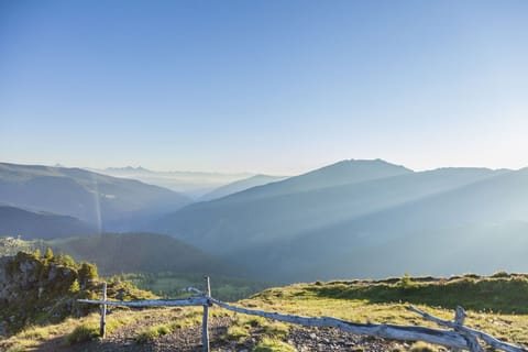 Region [summer] (&gt;5 km)