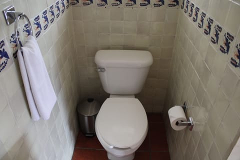 Shower, free toiletries, towels, toilet paper