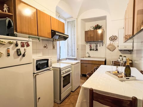 Wood Stain, Houseplant