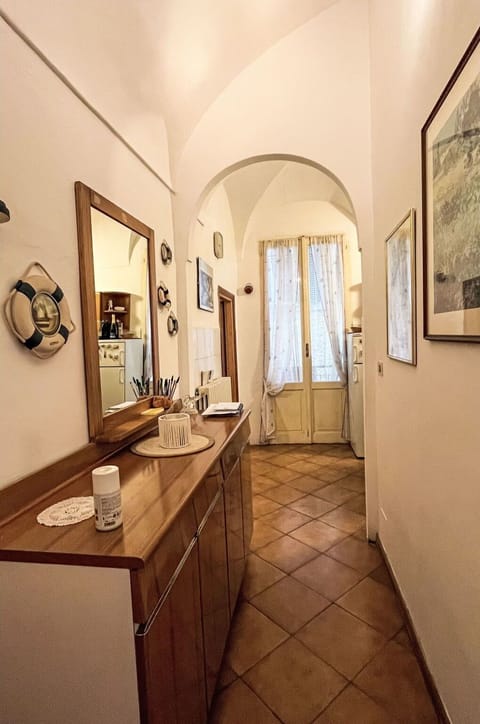 Wood Stain, Houseplant