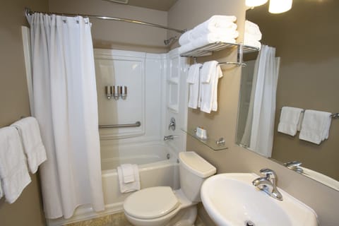 Combined shower/tub, free toiletries, hair dryer, towels