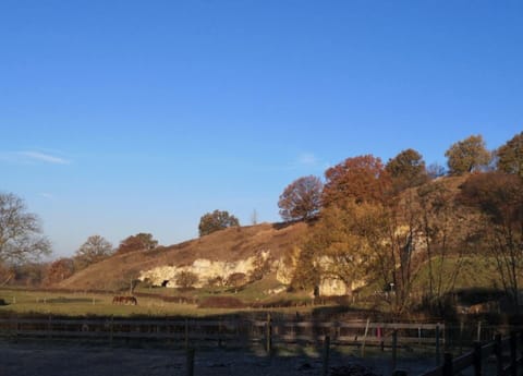 House | View from property