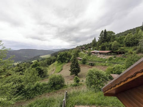 View from Holiday Home [summer]