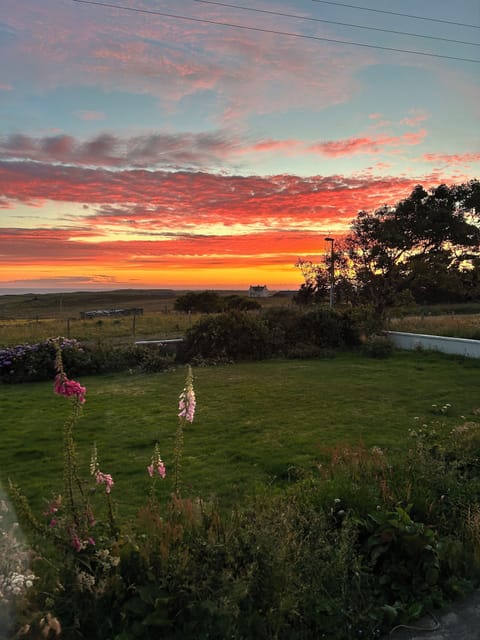 Sunset View