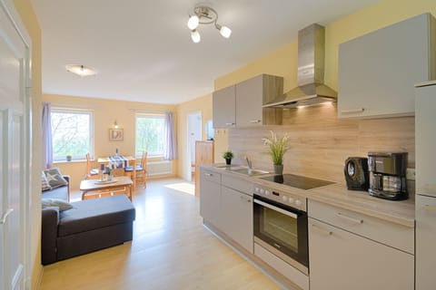 Basic Apartment, Courtyard View | Private kitchen | Full-size fridge, microwave, oven, stovetop